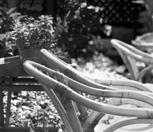 bon vivant larchmere website